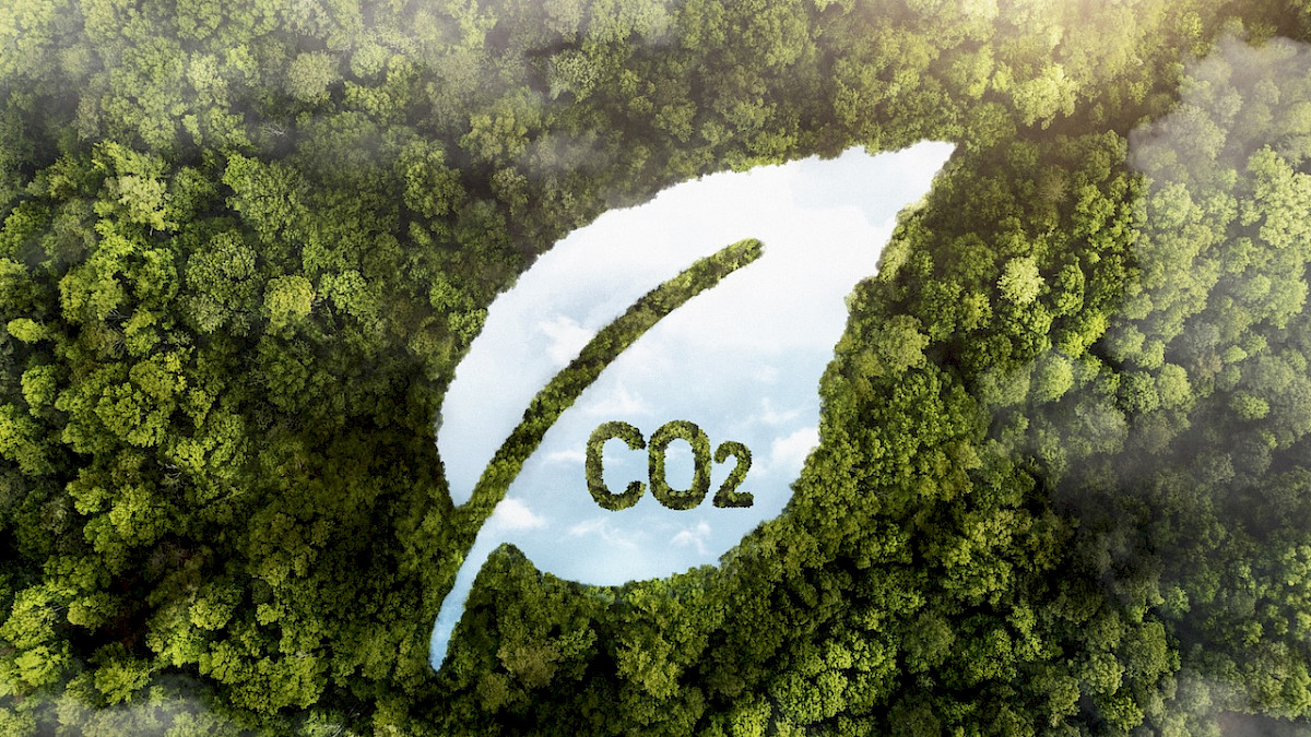 Cómo la Energía Renovable Reduce tu Huella de Carbono en Panamá